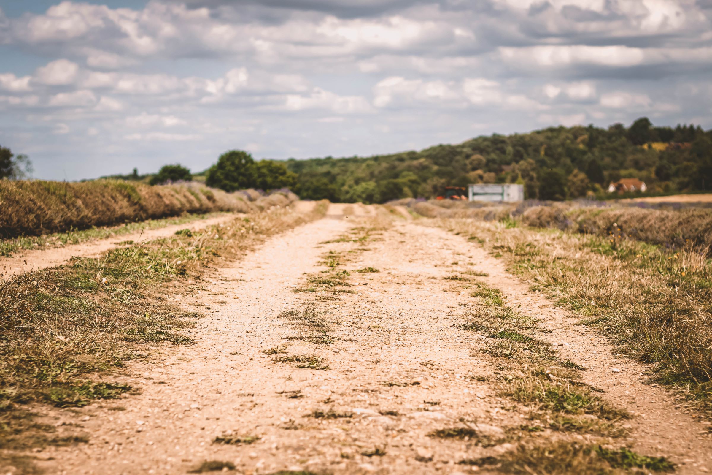 Greensand Way small