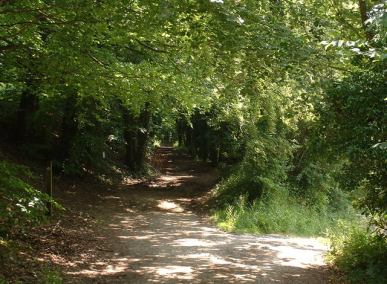 PILGRIMS WAY