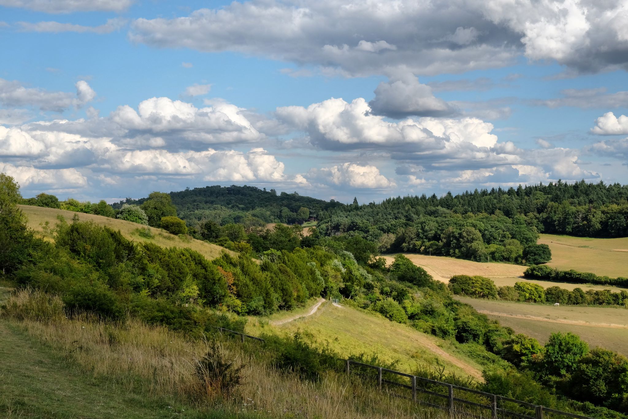 Pewley down