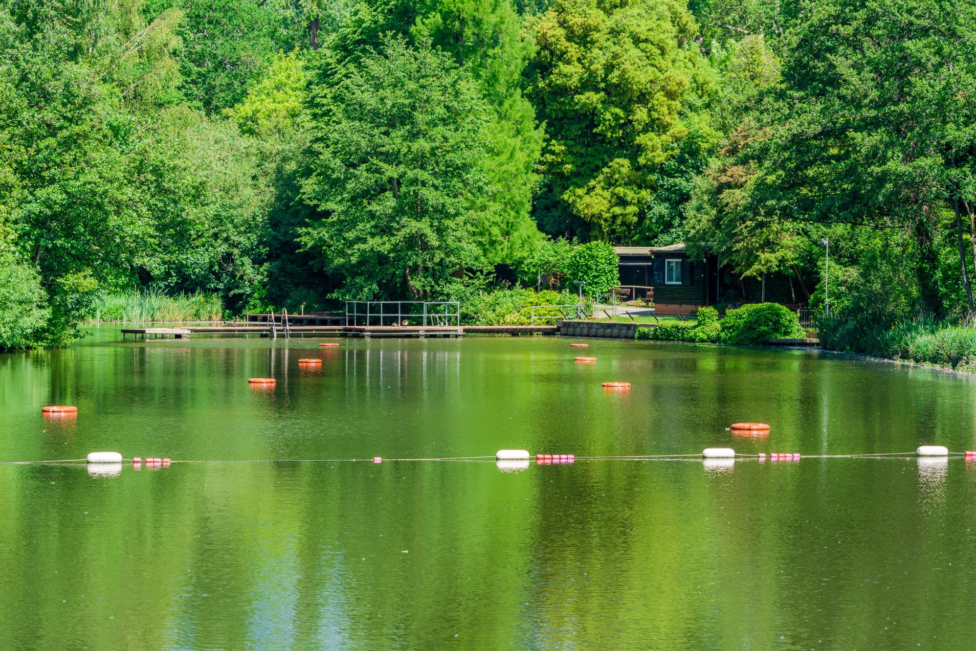 Swimming ponds