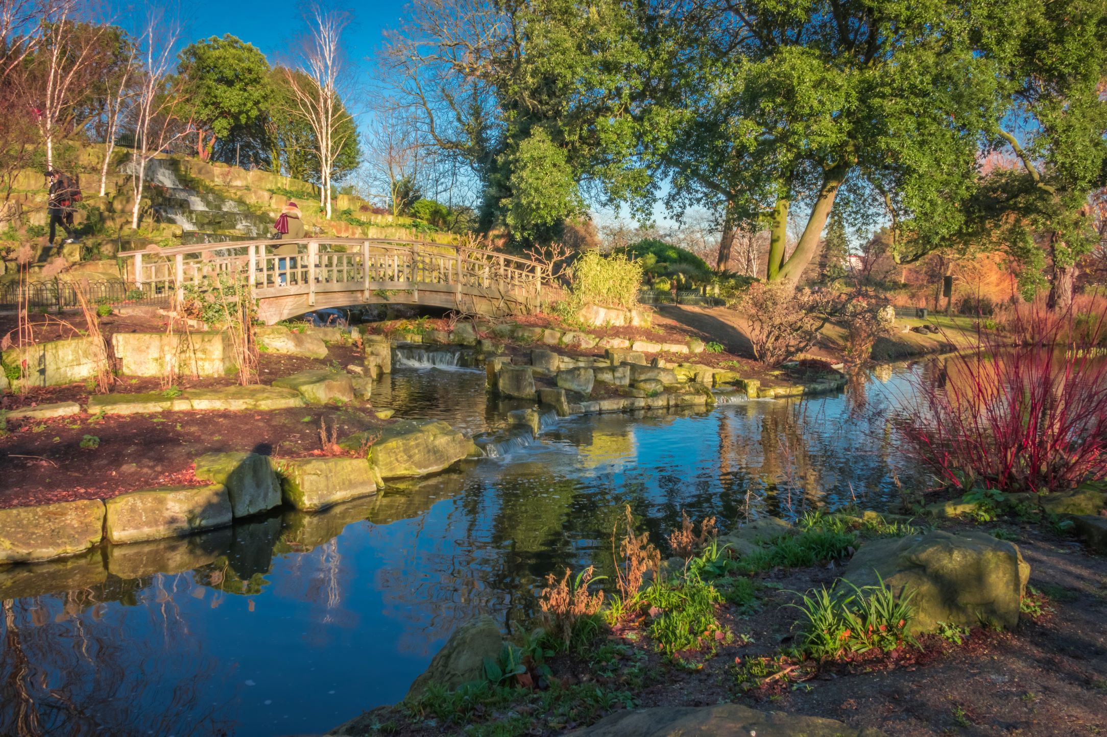 Japanese garden