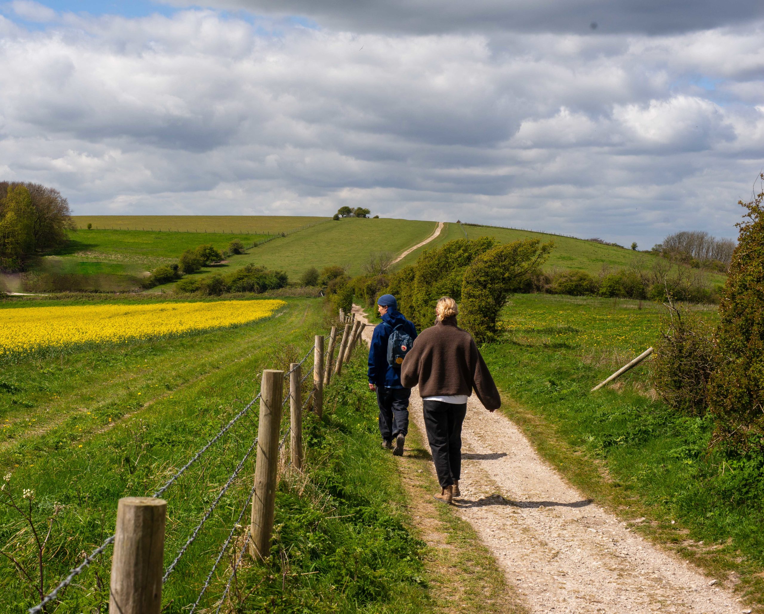 South downs way