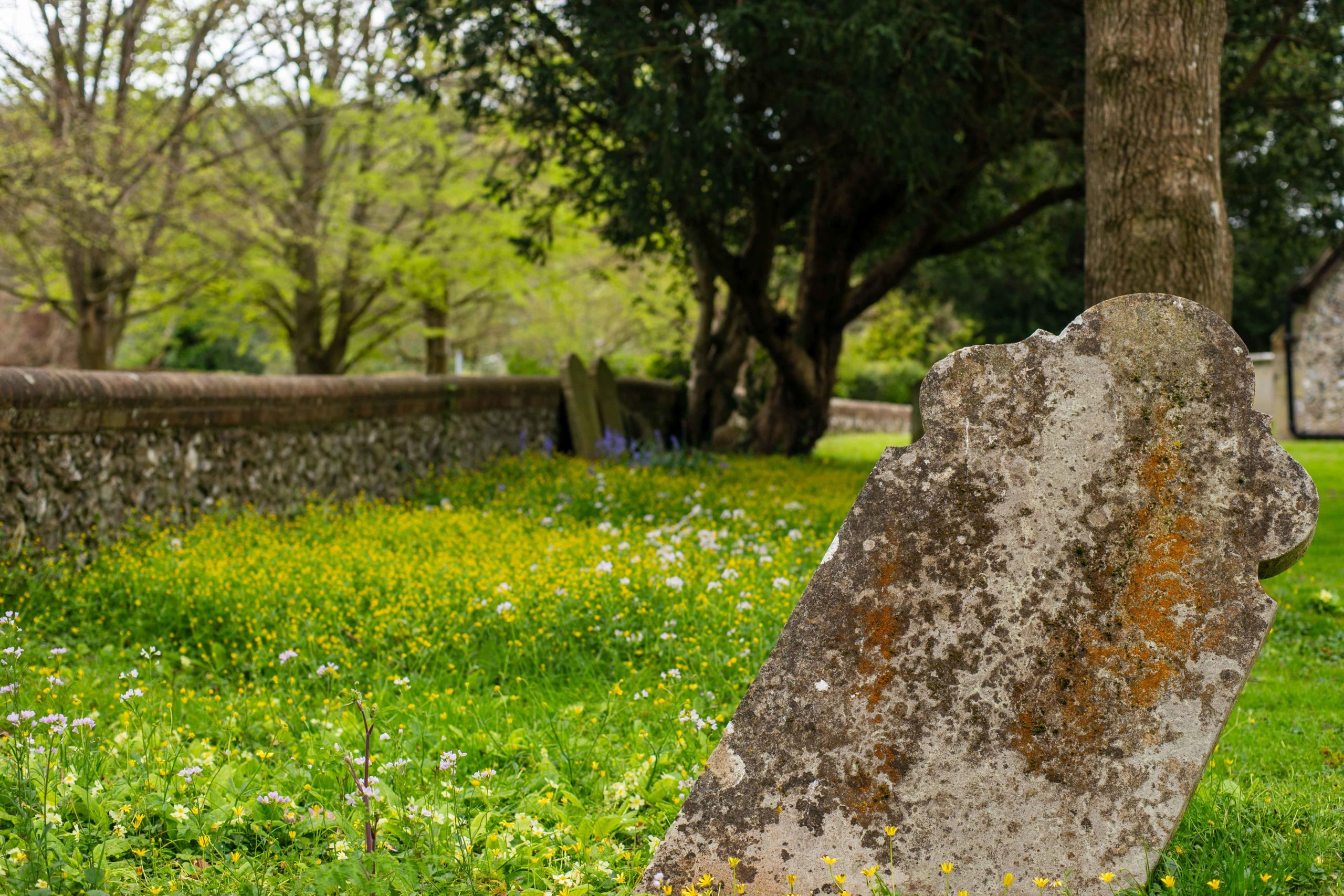 Westmeston church yard