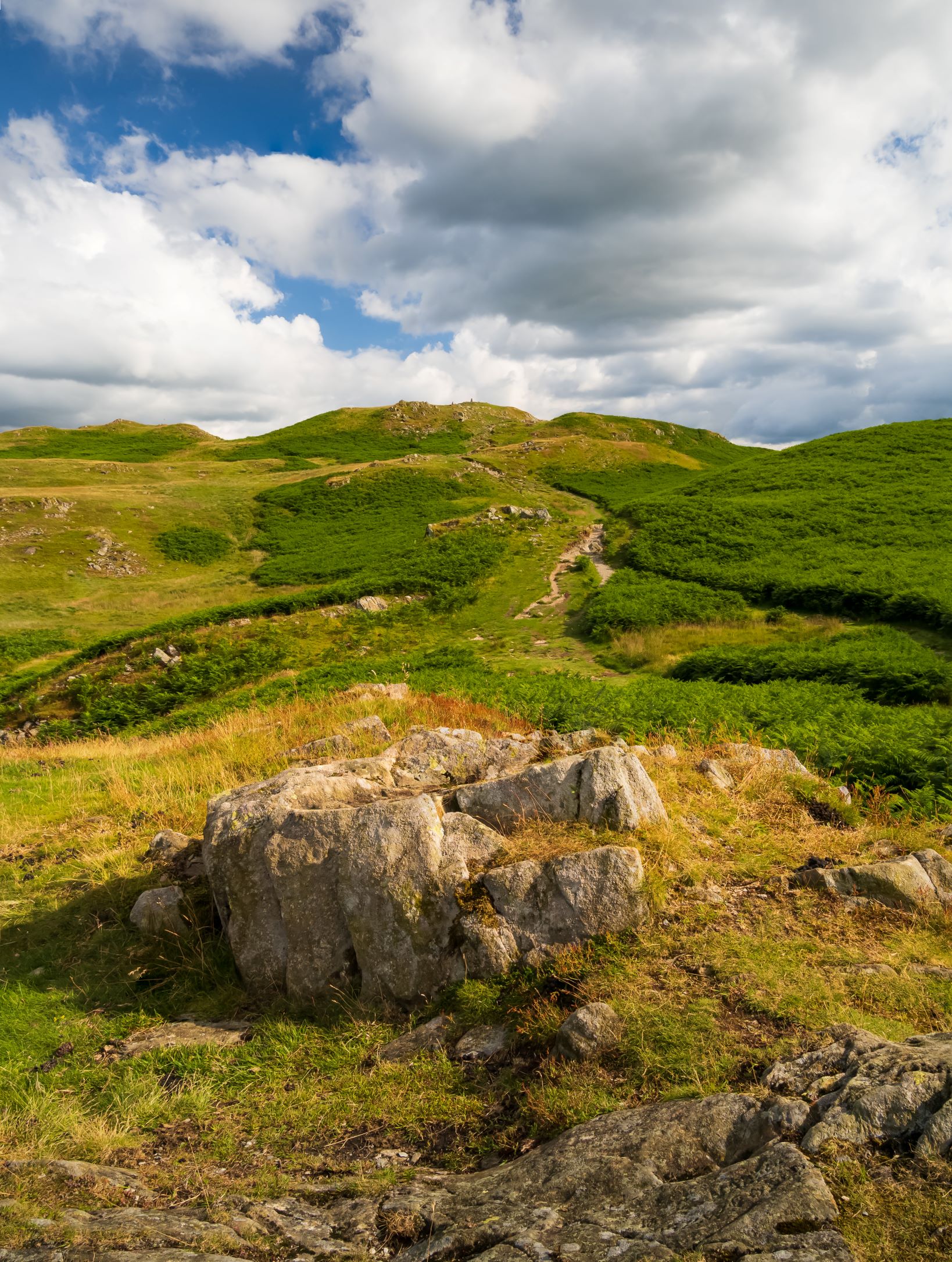 Loughrigg fell